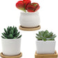 Small Ceramic Plant Pots with Drainage Holes and Saucers, Succulent Pots with Drainage, Flower Pots Indoor with Saucer ~ Planter Pots for Outdoor & Indoor with Bamboo Tray ~ (White, 3 Pack)