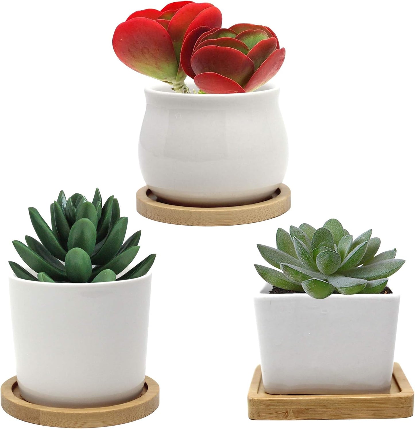 Small Ceramic Plant Pots with Drainage Holes and Saucers, Succulent Pots with Drainage, Flower Pots Indoor with Saucer ~ Planter Pots for Outdoor & Indoor with Bamboo Tray ~ (White, 3 Pack)