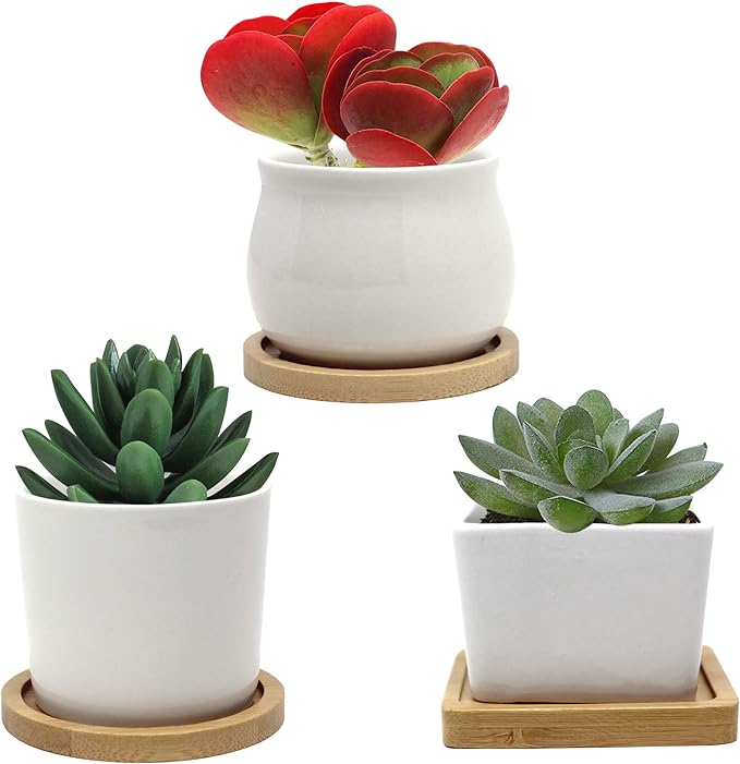 Small Ceramic Plant Pots with Drainage Holes and Saucers, Succulent Pots with Drainage, Flower Pots Indoor with Saucer ~ Planter Pots for Outdoor & Indoor with Bamboo Tray ~ (White, 3 Pack)