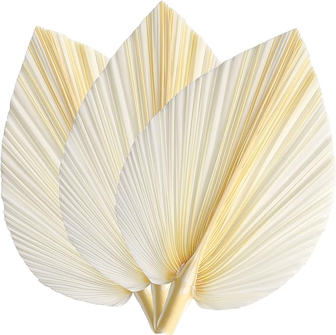 Large White Dried Palm Leaves - Premium Quality - 3 Pcs - 15"- Bonus E-Book with Decor Ideas - Elegant Modern Boho Home & Wedding Decor - Wall Art - Floral Arrangements