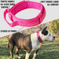 ADITYNA - Tactical Dog Collar for Large Dogs - Soft Padded, Heavy Duty, Adjustable Pink Dog Collar with Handle for Training and Walking