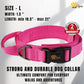 ADITYNA - Tactical Dog Collar for Large Dogs - Soft Padded, Heavy Duty, Adjustable Pink Dog Collar with Handle for Training and Walking