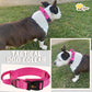 ADITYNA - Tactical Dog Collar for Large Dogs - Soft Padded, Heavy Duty, Adjustable Pink Dog Collar with Handle for Training and Walking