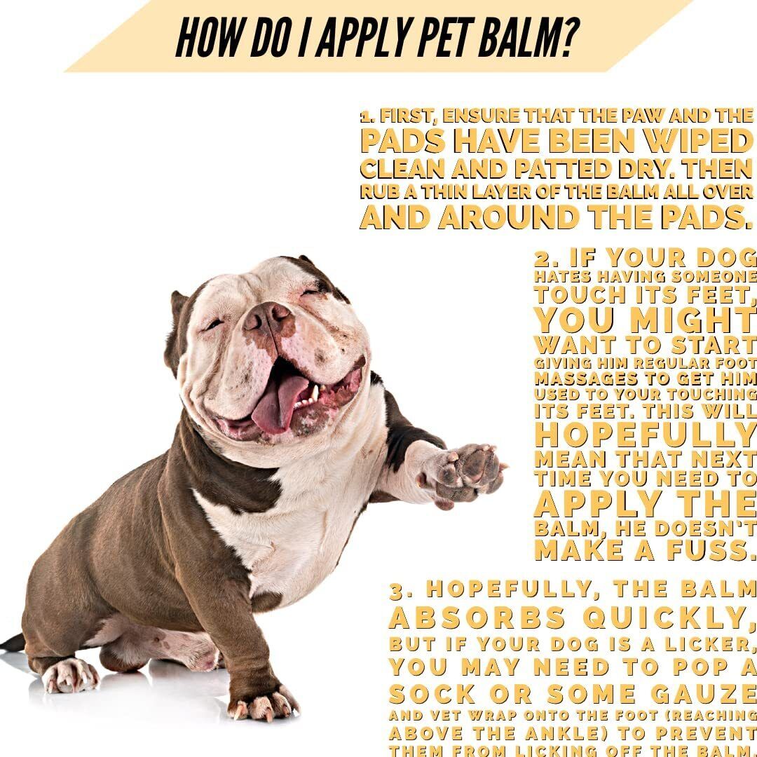 Pet Balm Heals Repairs Moisturizer Dry Noses and Cracked Paws Protection Against