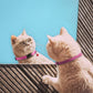 New Breakaway Cat Collar Leather Soft Adjustable Pet Kitten Collars Bell Pink