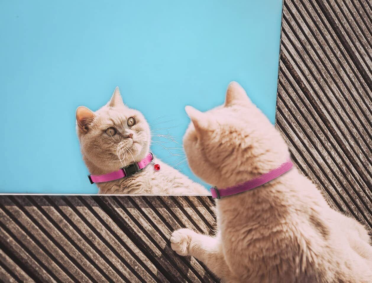New Breakaway Cat Collar Leather Soft Adjustable Pet Kitten Collars Bell Pink