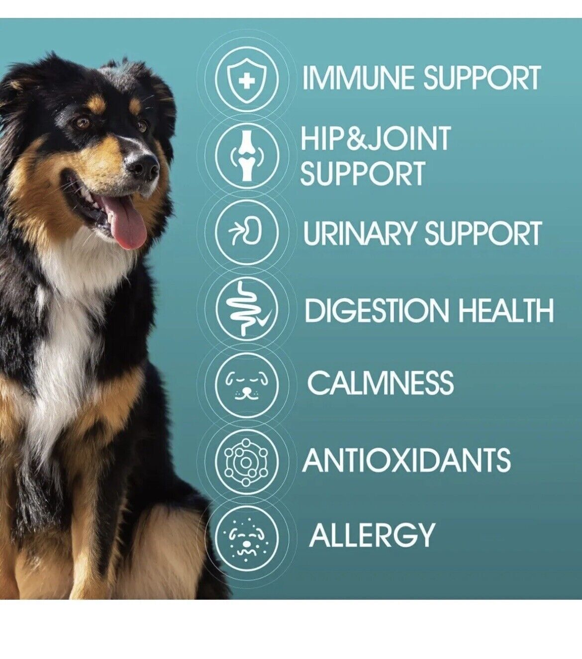 NEW Natural 8 in 1 Multivitamin 12 oz- 90 Chews Dog Treats Hip/Joint/Skin/Gut