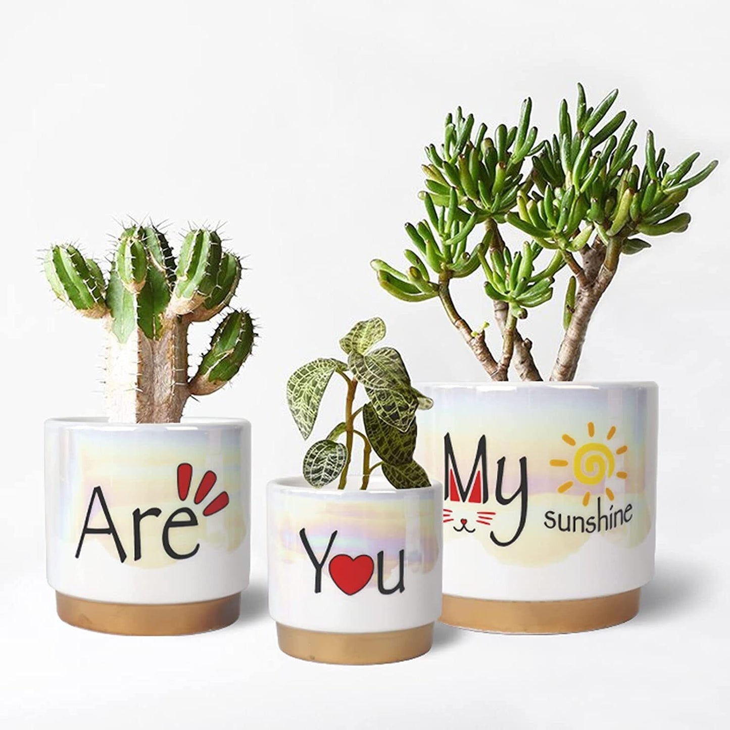 3 Indoor Plant Pots Plants Drainage Holes-Gift-Wrapped, Ceramic Planter You are My Sunshine