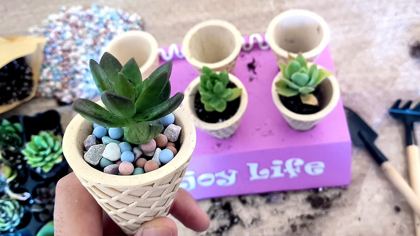 NEW 6 Pcs 2 inch Ice Cream Cone Small Succulent pots Cute Cactus planters Unique