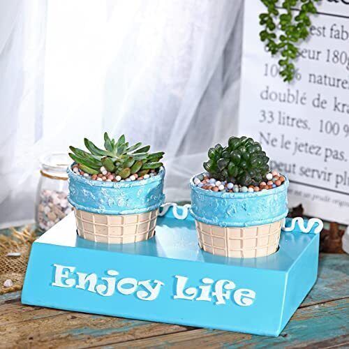 NEW 2 Pcs 3.4 inch Succulent pots Cute Cactus planters with Drainage Holes