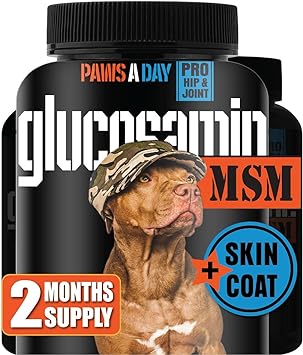 Paws A Day Glucosamine for Dogs Hip & Joint Supplement – “Two-in-One Combo” Dog Joint Care and Improved Skin & Coat with Chondroitin, MSM, Omega 3, Collagen & Biotin, 60 Chewable Tablets (2 Months)