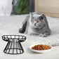 𝟮𝟬𝟮𝟯 Anti-Vomit Elevated Cat Bowls, Ceramic Whisker Fatigue Raised Cat Food Bowls for Indoor Cats, Shallow Wide Cat Bowl Elevated, Flat Cute Pet Cat Feeding Dishes Plate Wet Food Whisker Friendly