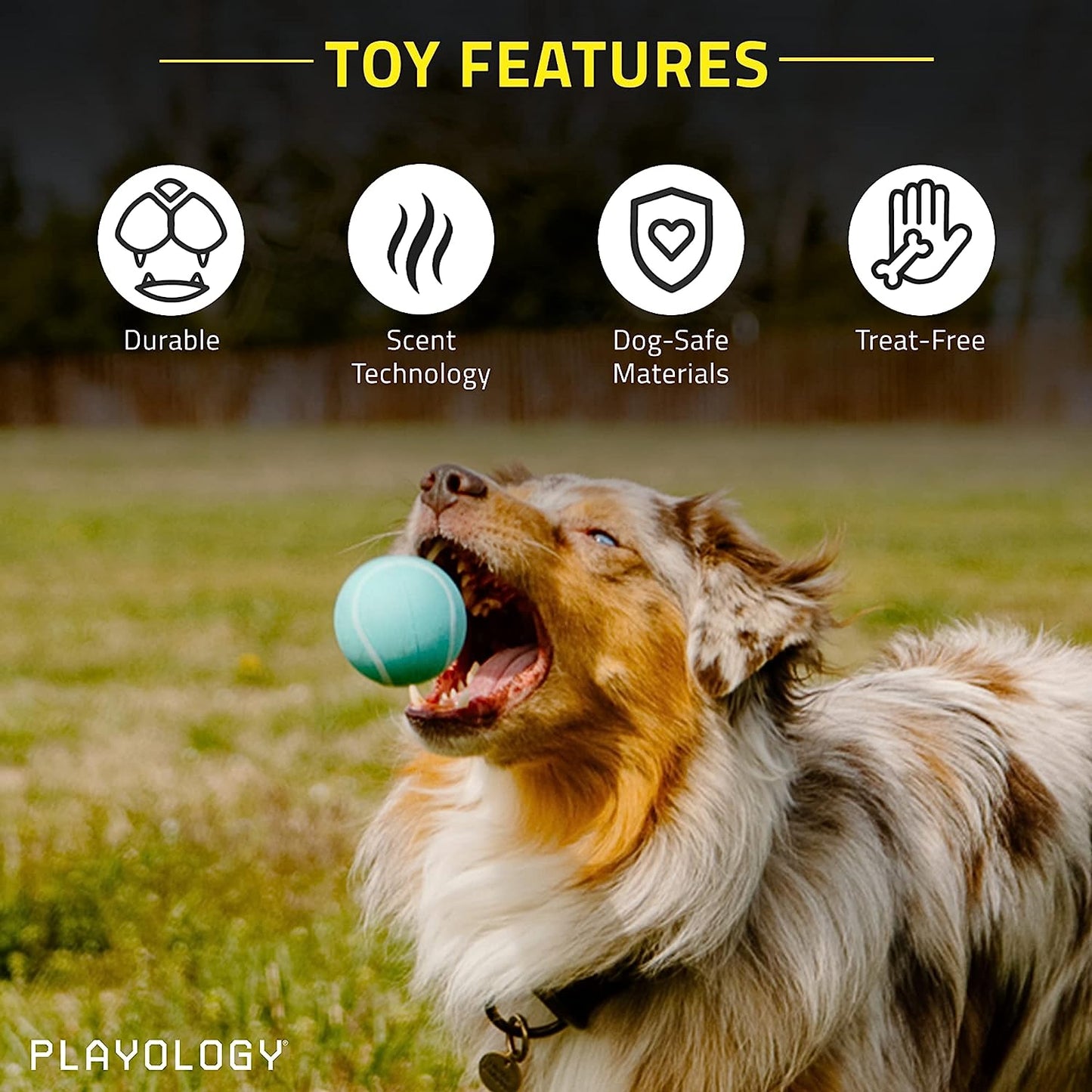 New Dog Balls for Medium and Large Dogs (10lbs & Up) - Dog Ball for Aggressive Chewers - Squeaky Toy, Engaging All-Natural Peanut Butter Scented - Non-Toxic Rubber Dog Ball Toys