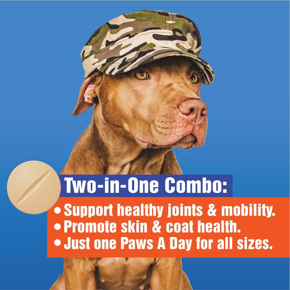 Paws A Day Glucosamine for Dogs Hip & Joint Supplement – “Two-in-One Combo” Dog Joint Care and Improved Skin & Coat with Chondroitin, MSM, Omega 3, Collagen & Biotin, 60 Chewable Tablets (2 Months)
