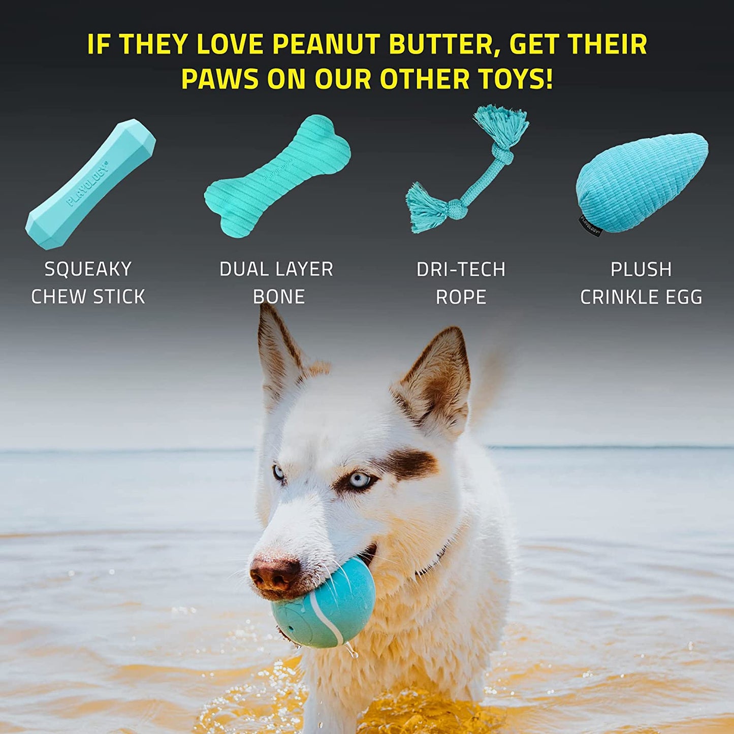 New Dog Balls for Medium and Large Dogs (10lbs & Up) - Dog Ball for Aggressive Chewers - Squeaky Toy, Engaging All-Natural Peanut Butter Scented - Non-Toxic Rubber Dog Ball Toys