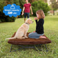 New Outdoor Dog Bed - Portable, Elevated Camping Dog Cot for Indoor, Courtyard & Travel, Breathable Textilene Mesh, Comfortable with Removable & Washable Cover, Supports up to 120 lbs (Brown)